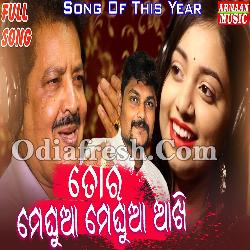 Tora Meghua Meghua Akhi - Odia Romantic Song By Udit Narayan, Jyotirmayee
